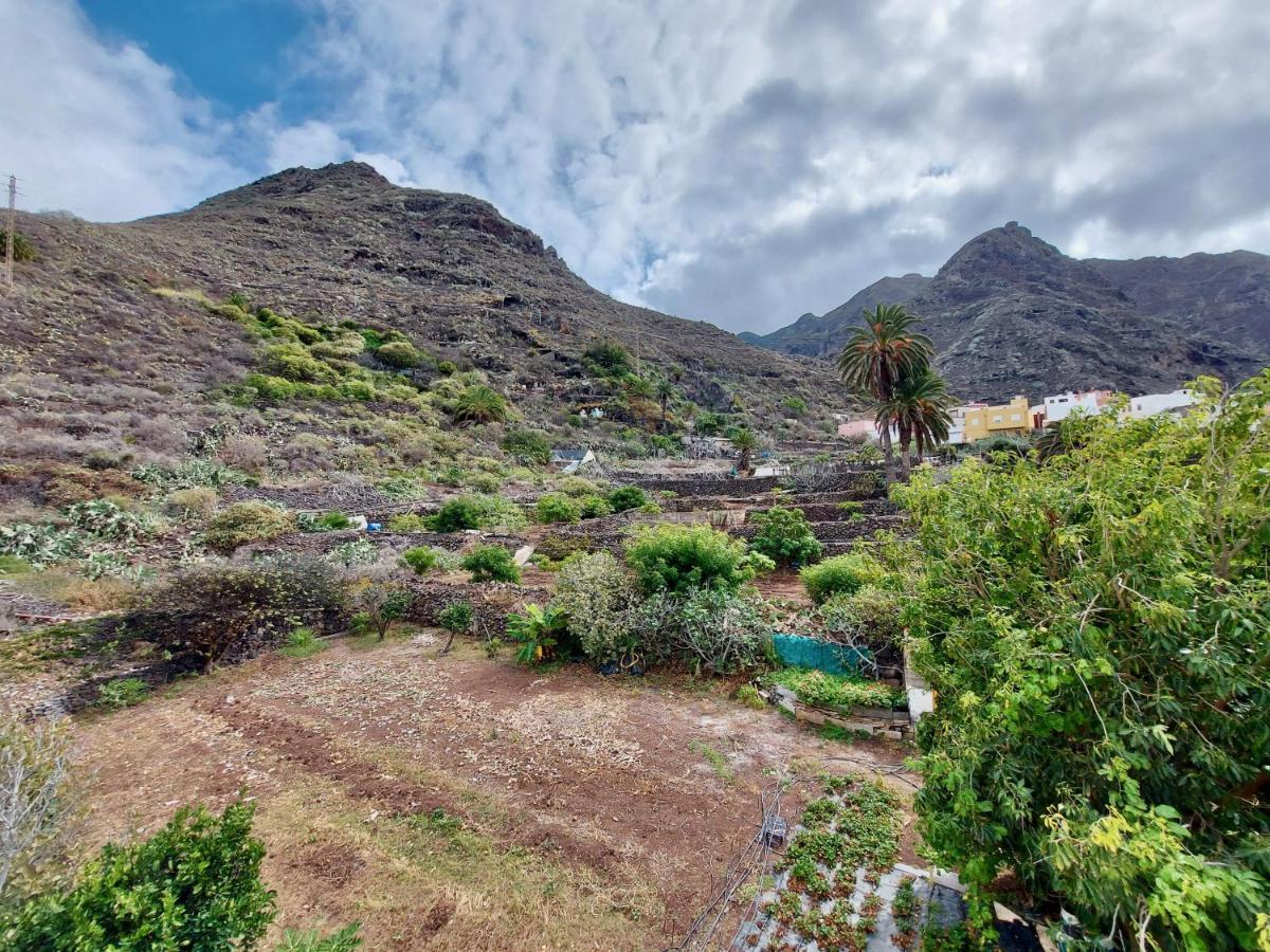 Casa Ana Con Jardin Apartment Punta Del Hidalgo Luaran gambar